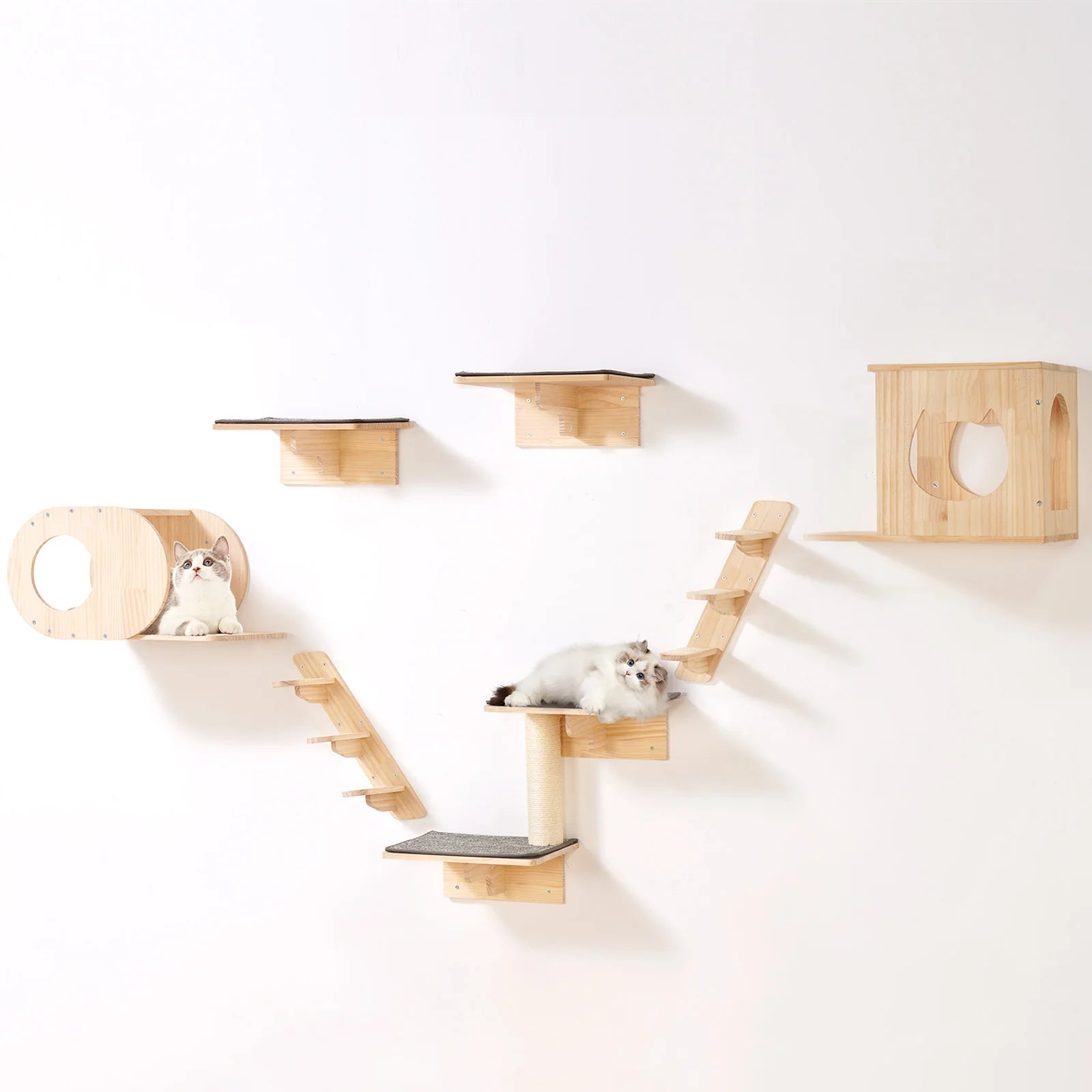 Wall Mounted Cat Shelves, Perches with Jumping Boards Hammocks & Cat Tree Cat Furniture