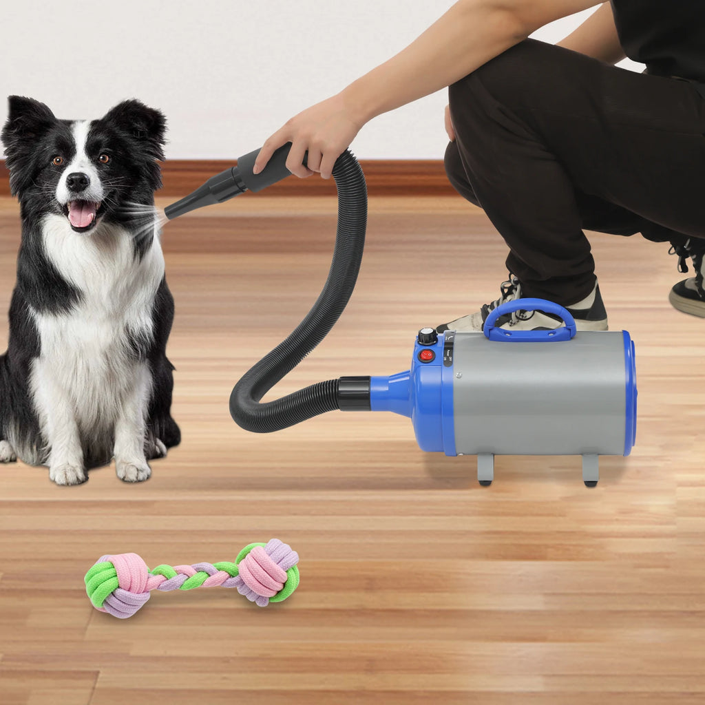 Pet Hair Dryer, Adjustable Design Wind Speed, Electric Dog Cat Hair Dryer, 4 Nozzles