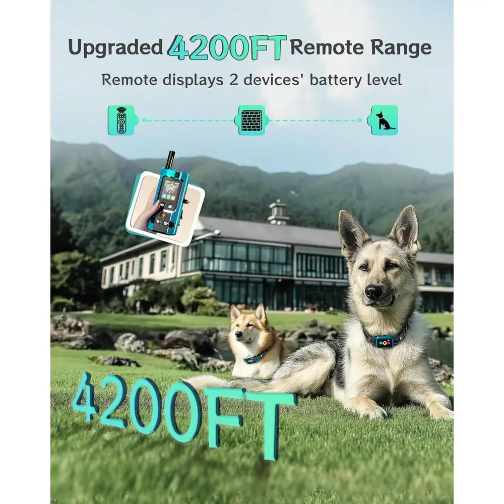 Innovative Step Counter & Smart Color Dog Training Collar with Remote
