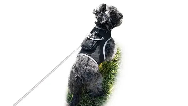 Get Realtime Pet Locations w/ Pet Mini Cat Dog GPS Tracking Collar