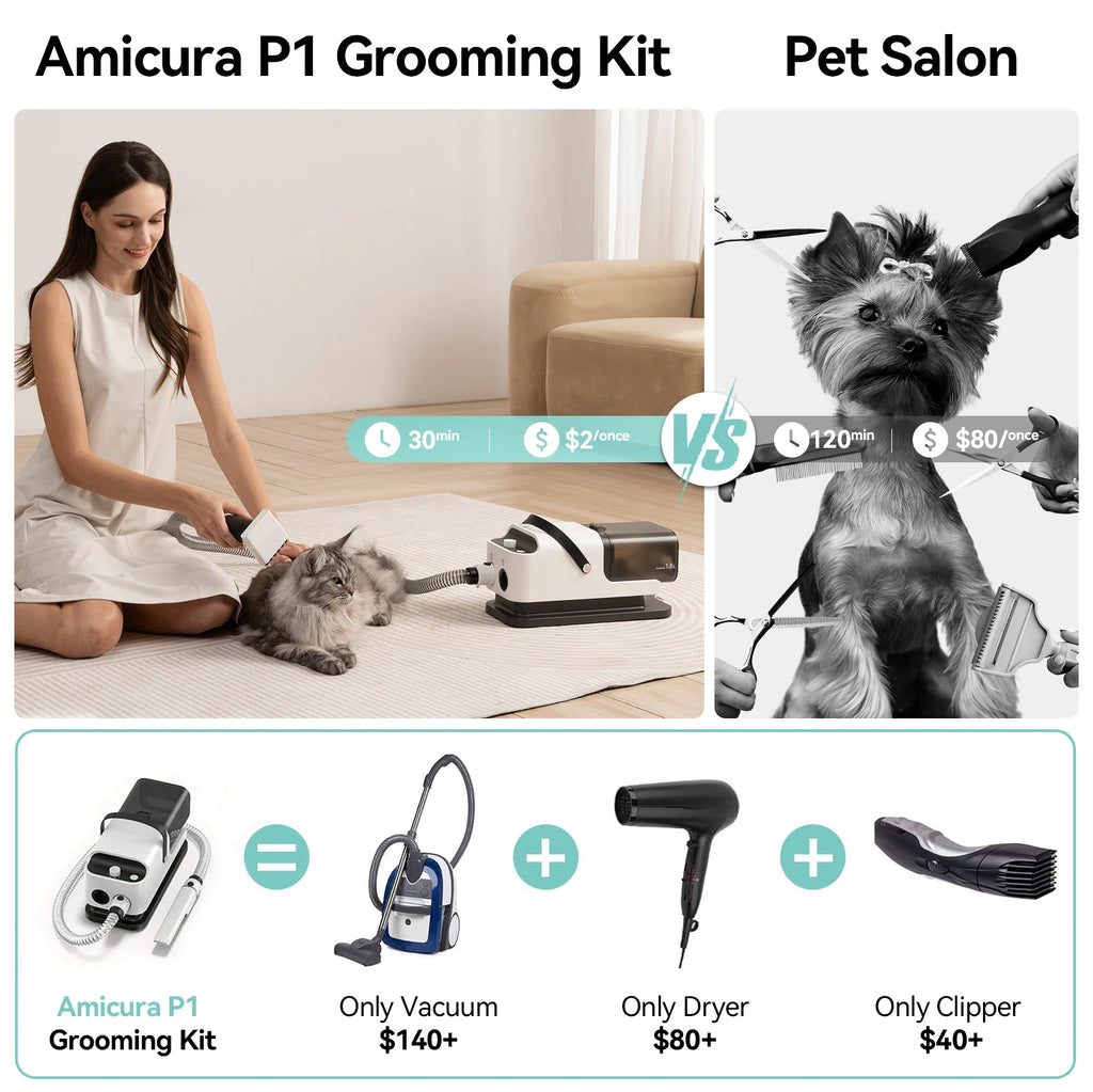 Vacuum Cleaner & Hair Dryer, Adjustable Speed and Temperature, 5 Proven Care Tools