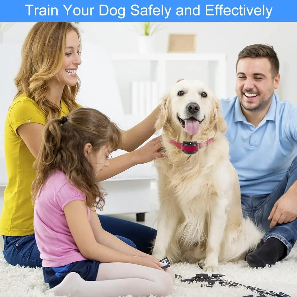 No Shock Dog Training Collar with Remote,1600ft Rechargeable Vibration Collar, Waterproof