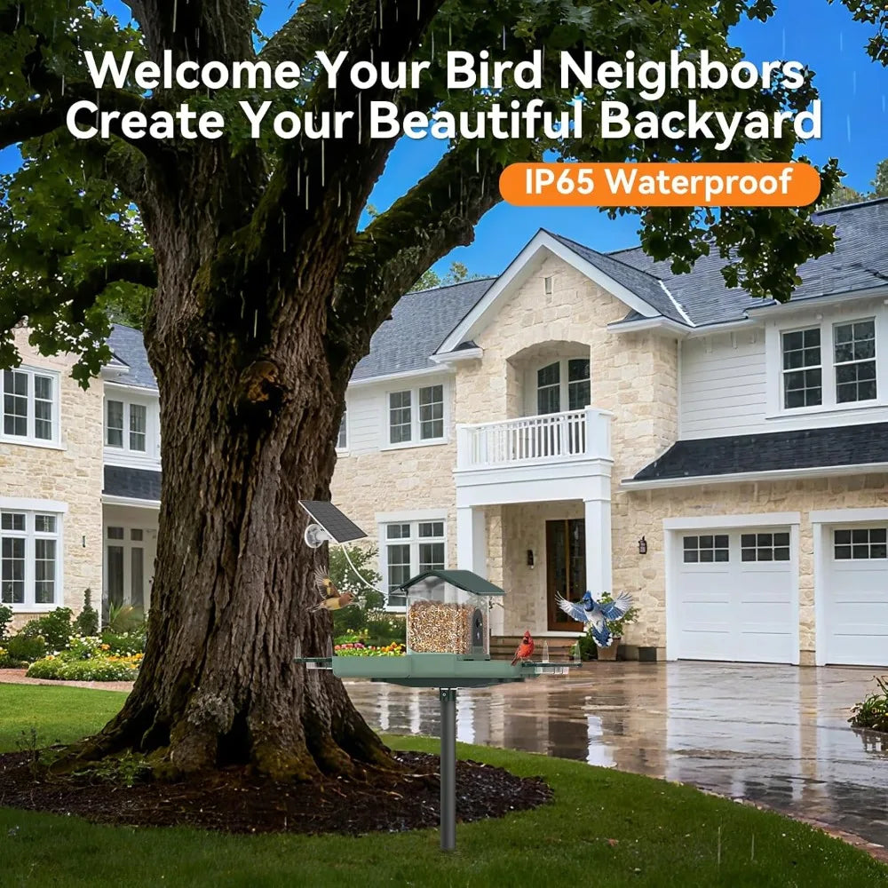 Bird Feeder with Camera & Bird Bath Combo, Watch Birds Eat & Bathe with WiFi 2K HD Video, Auto Record, AI Recognition