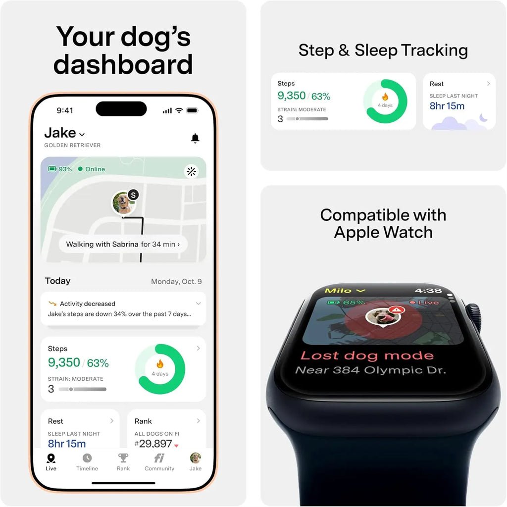 Smart GPS Dog Tracker Collar with Health Monitoring, Escape Alerts, Waterproof, LED, Apple Watch Compatible
