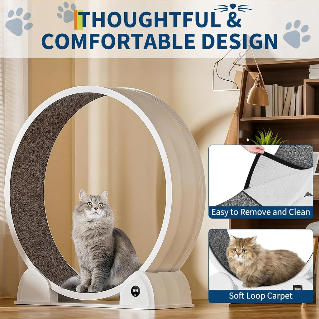 Cat Exercise Wheel for Indoor Cats, Quiet Cats Treadmill with Pedometer