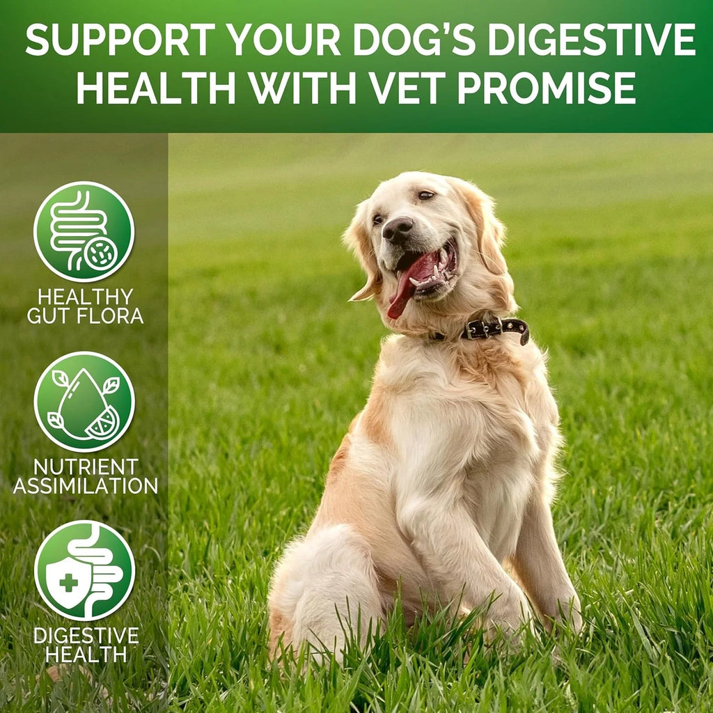 【120 Chews】Probiotics for Dogs-  - Relieve stomach sensitivity and dog gut health probiotics - Digestive Remedies