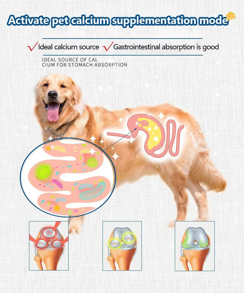 Pet Freeze-dried Food High Calcium Cheese  Aid Digestion