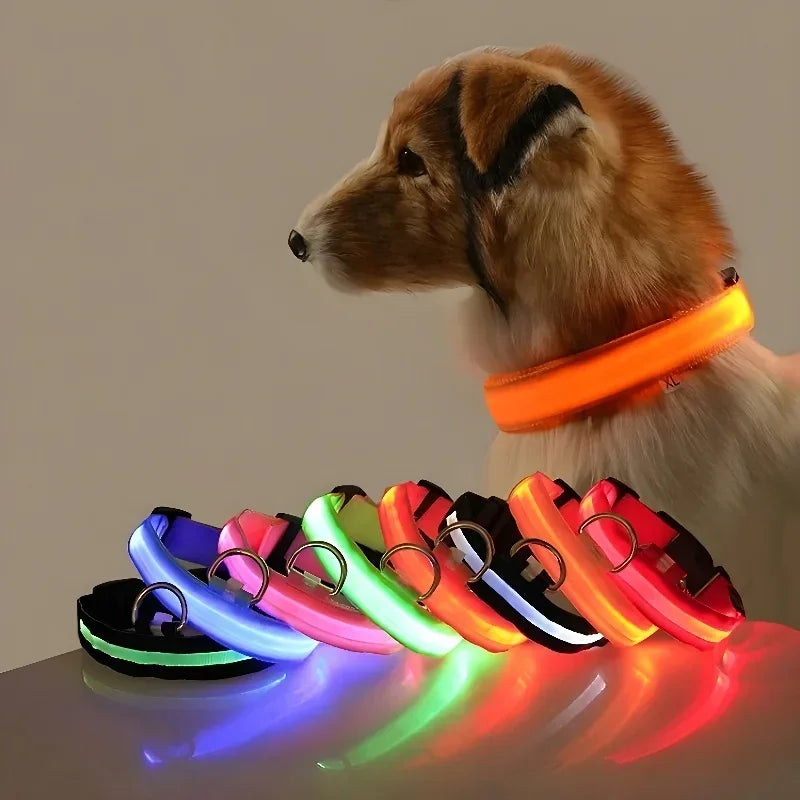 Dog Collar Nylon LED Night   Safety Flashing Glow-In-The-Dark Pet Dog Leash