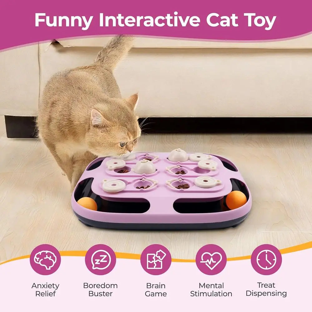 Interactive Cat Toys with Track Ball, Mental Stimulation Puzzle Games Food Dispenser