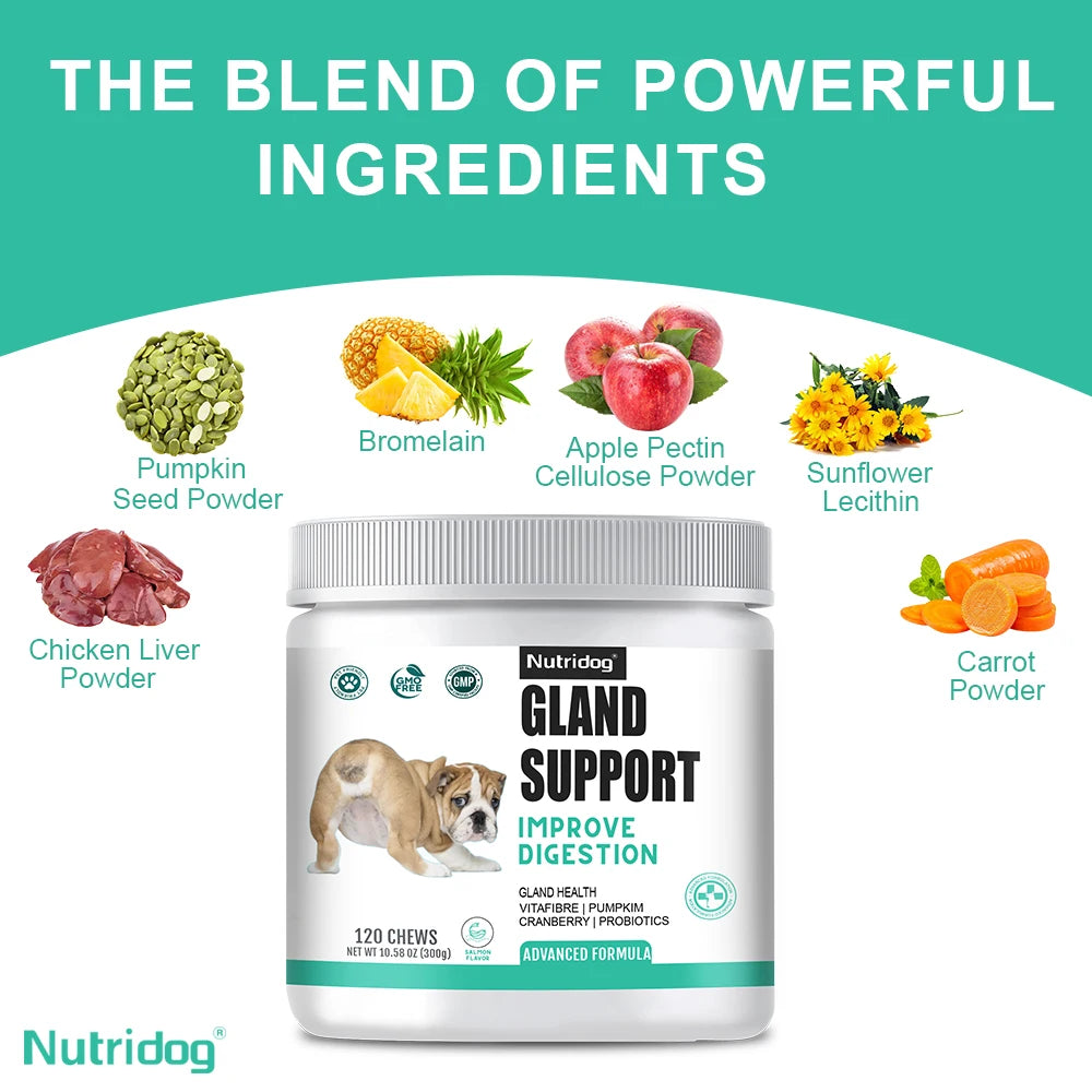 NUTRIDOG Dog Anal Gland Support  Pumpkin Seed Probiotics Digestive Enzymes Scoot Relief
