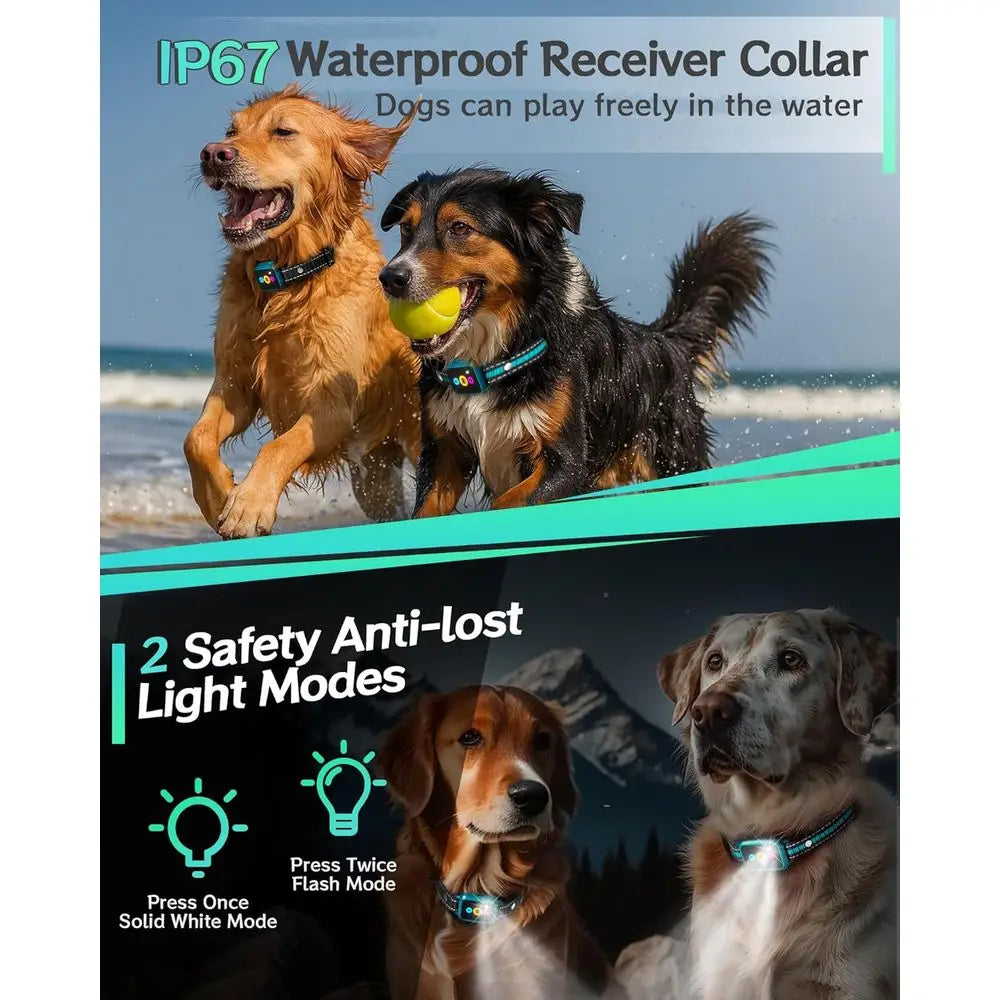 Innovative Step Counter & Smart Color Dog Training Collar with Remote