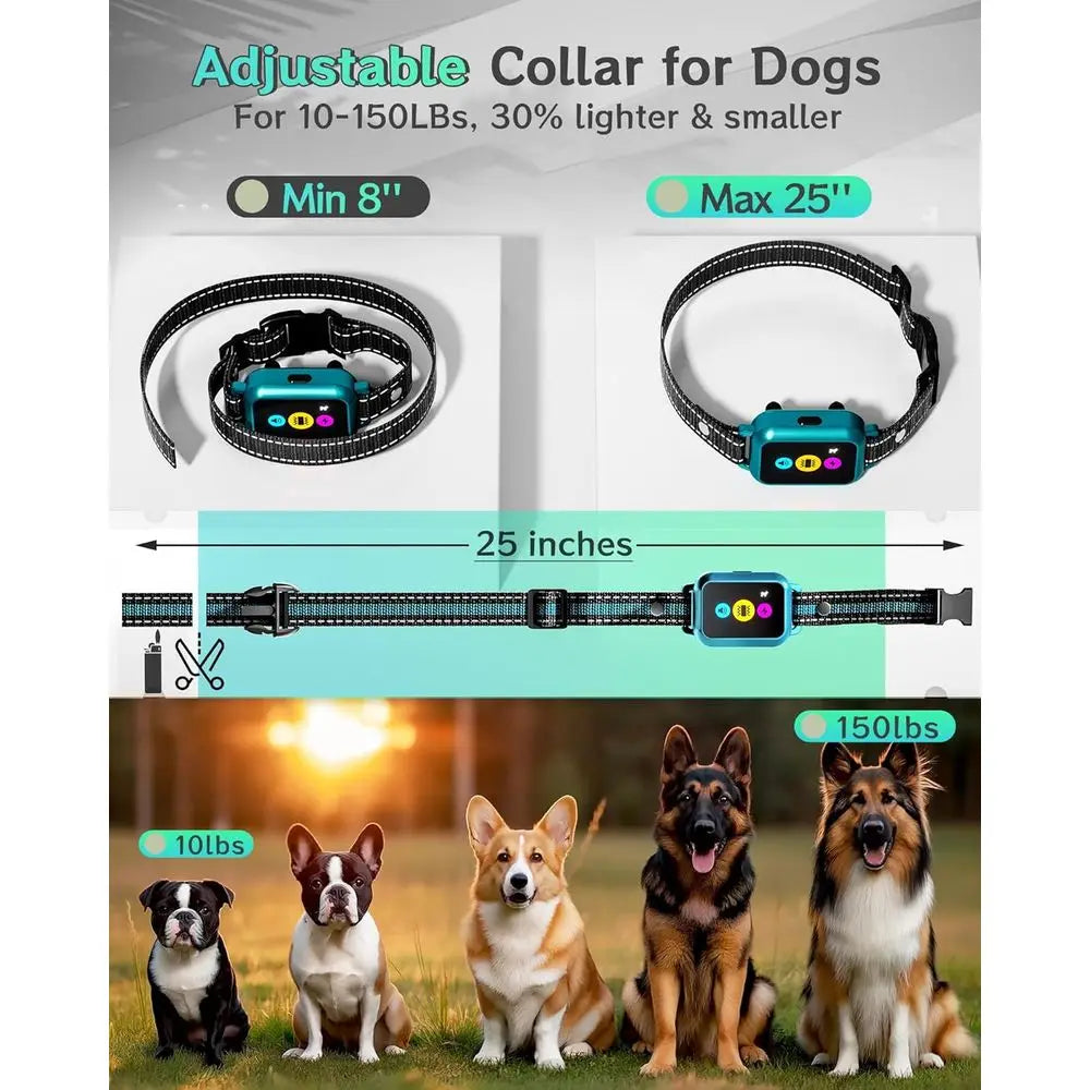 Innovative Step Counter & Smart Color Dog Training Collar with Remote