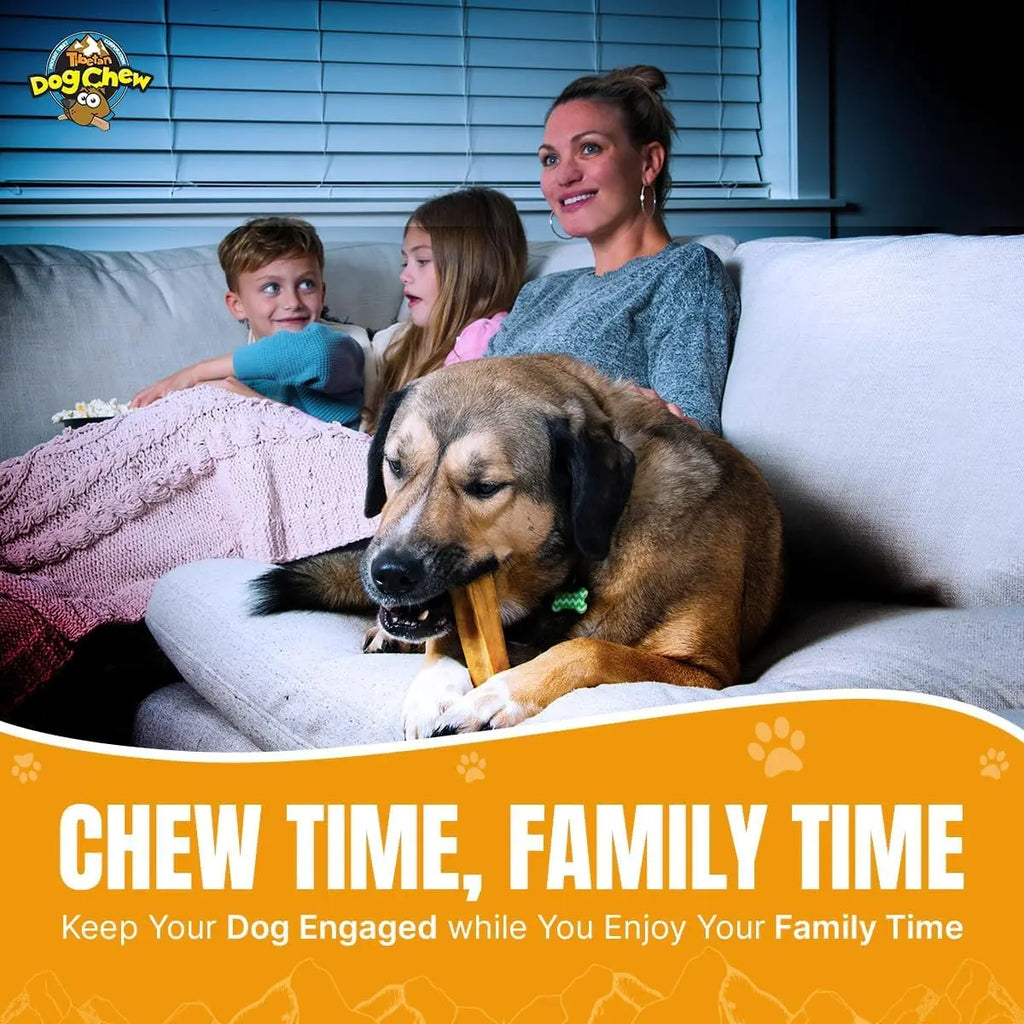 Yak Cheese Dog Chews for Aggressive Chewers - 12 Large Sticks, Easy Digest, No Additives