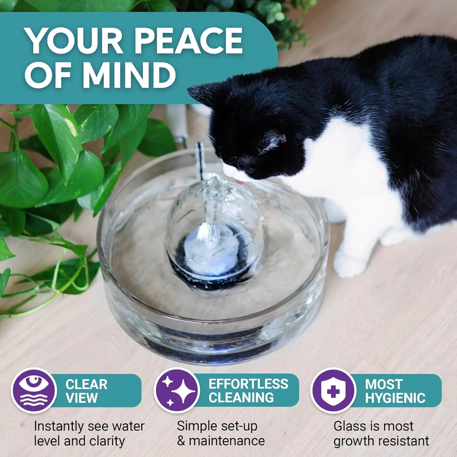 Glass Pet Fountain (90oz) – Cat & Dog Water Fountain – Glass Automatic Water Dispenser