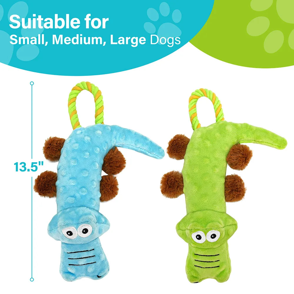 Pets Dog Squeaky Toy, 2 Pack, Tug of War Dog Toys