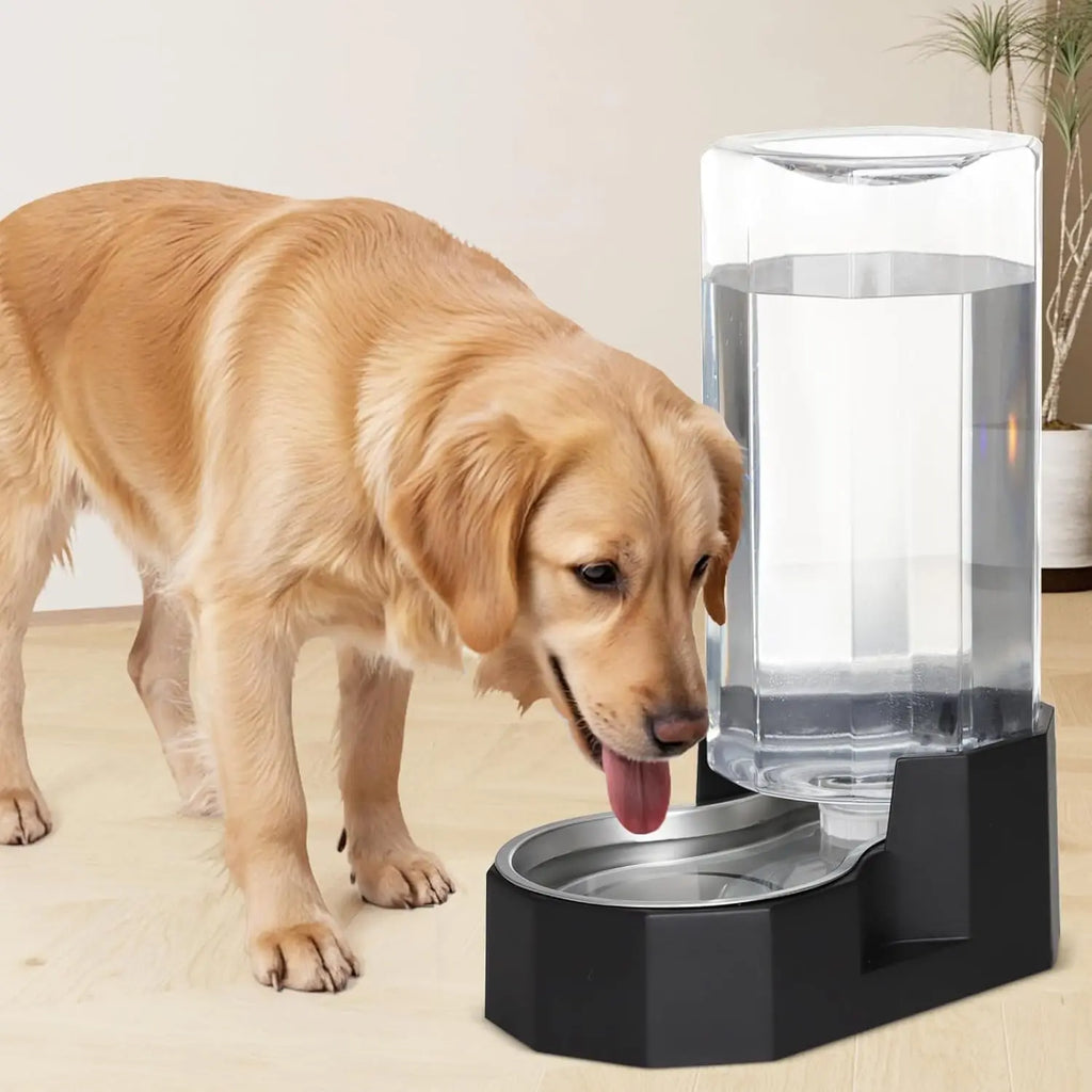 9L Automatic Pet Water Dispenser with Gravity Design for Multiple Dogs