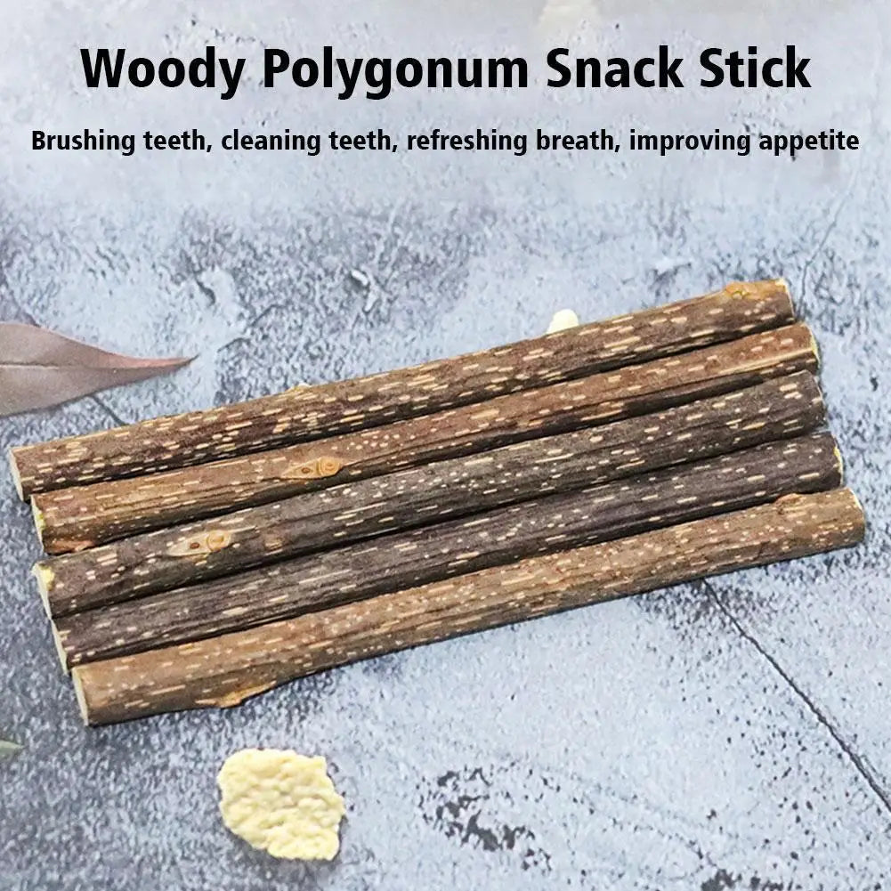 5pc Catnip Stick Pet Cat Molar All Natural Self-healing