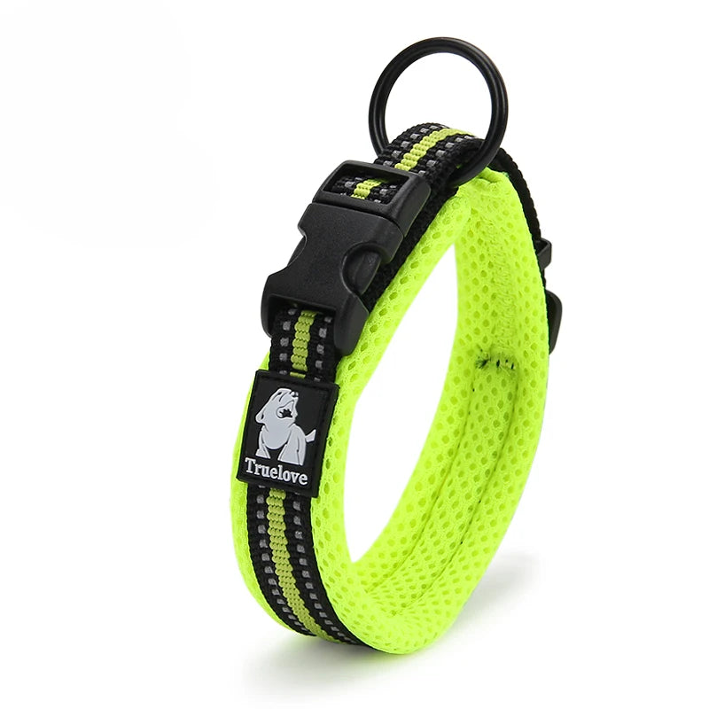 Dog Walking Collar Comfort Padded with Buckle Nylon Traveling Collar