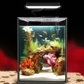 Glass Betta Aquarium Starter Kits 1.5 Gallon With LED Light, Power Filter, Black