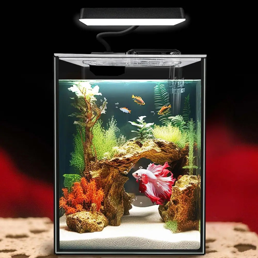 Glass Betta Aquarium Starter Kits 1.5 Gallon With LED Light, Power Filter, Black