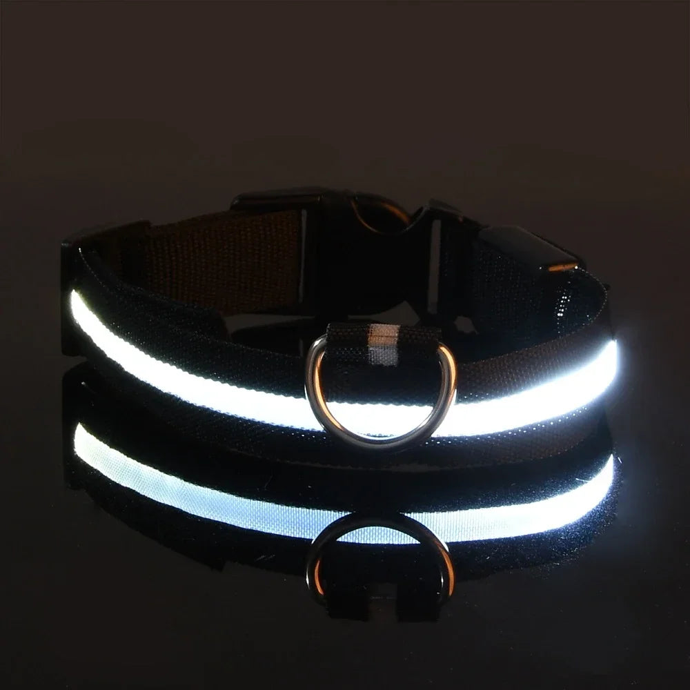 Dog Collar Nylon LED Night Safety Flashing Glow In The Dark Pet Dog Leash