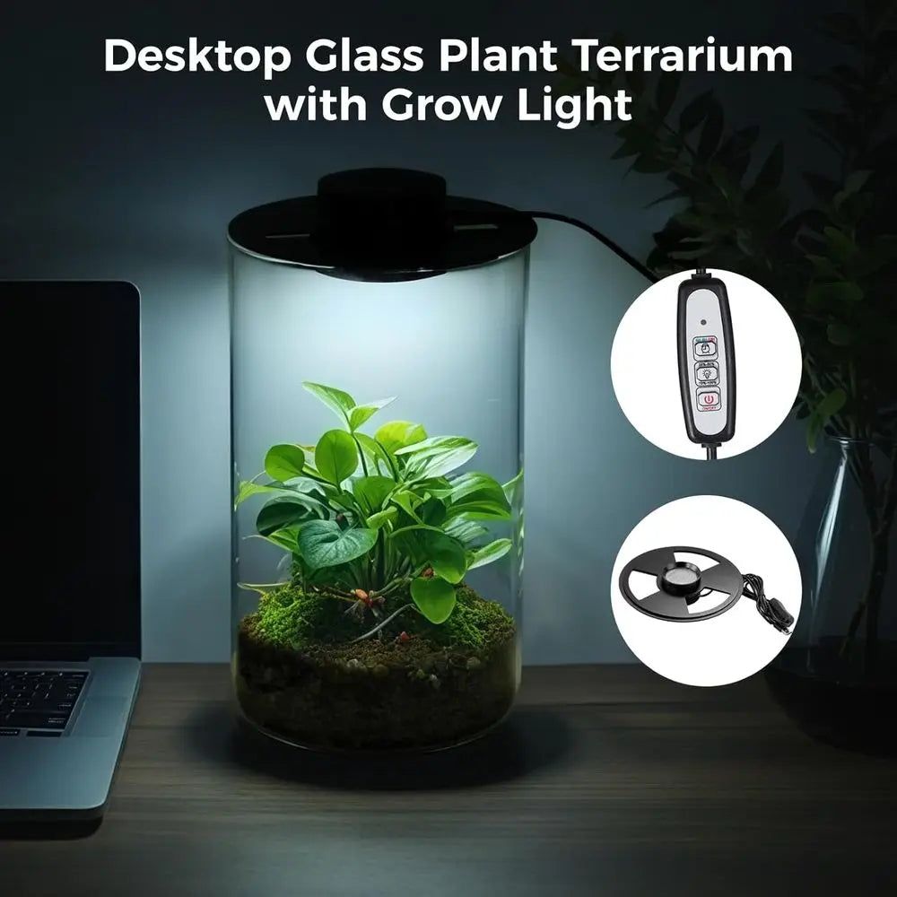 Desktop Glass Terrarium with Grow Light - Succulent Moss Miniature Gardening Landscape