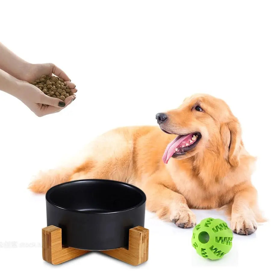 Black Ceramic Cat/Dog Bowl Set with Wood Stand for Pet Food and Water, Non-Slip