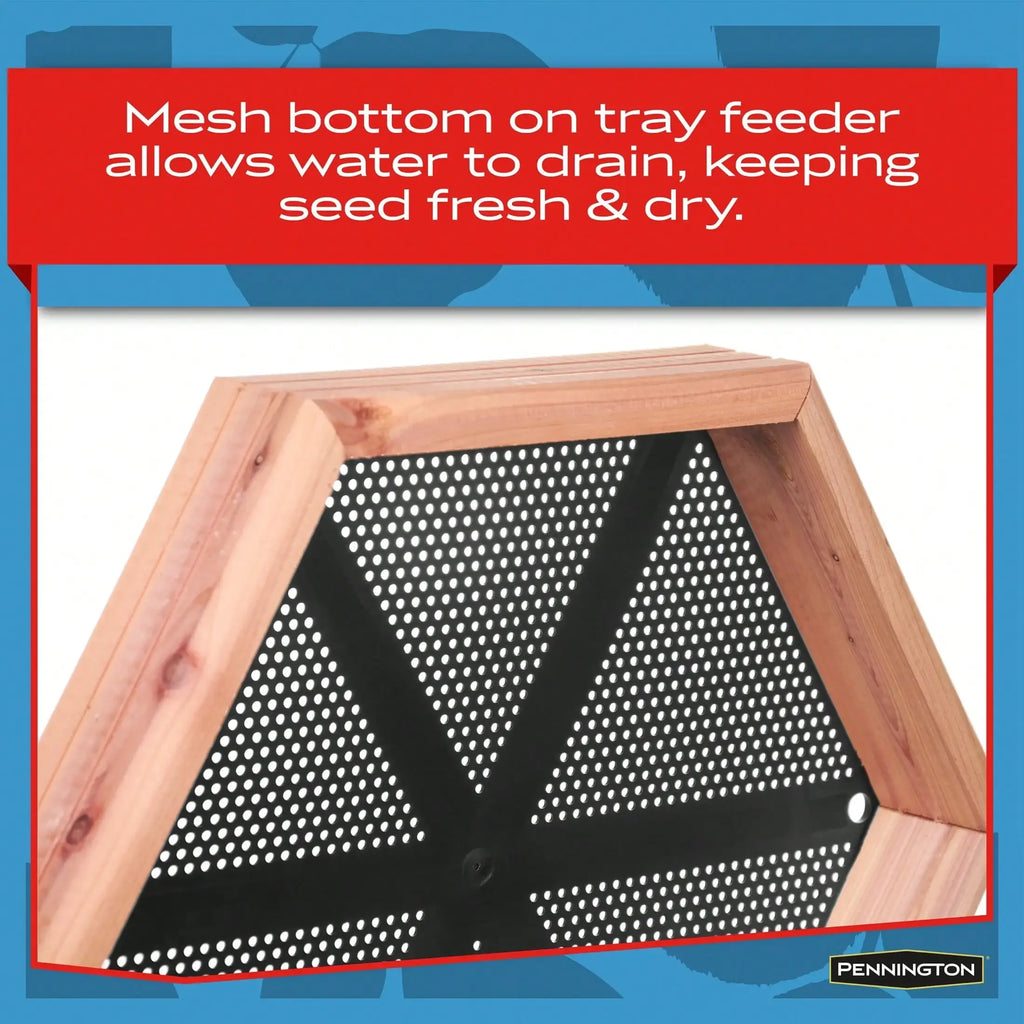 (3-Pack) 2-in-1 Bird Bath and Bird Feeder, 4 lbs,Keep seeds fresh,Durable