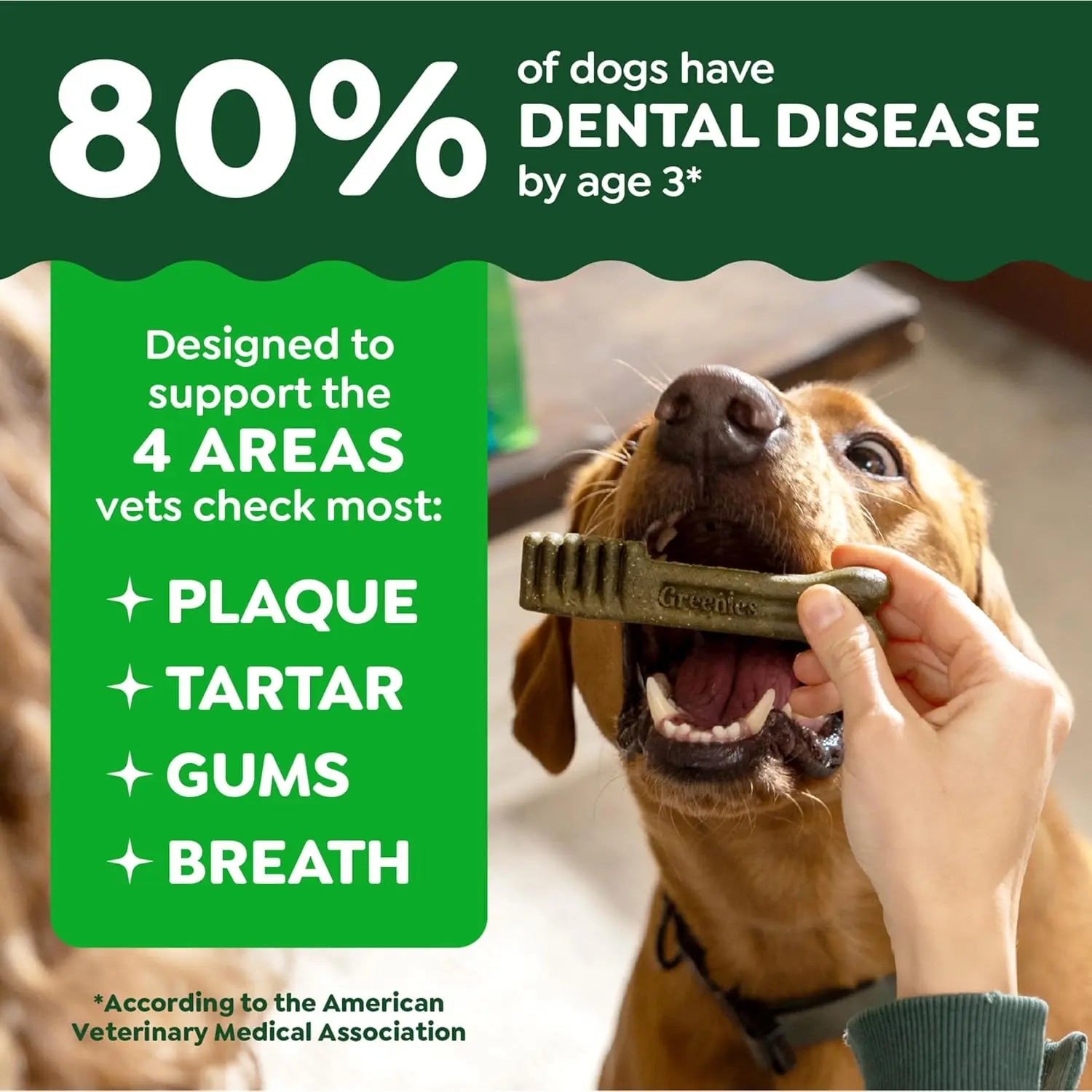 Veterinarian-Recommended Natural Dental Dog Treats Teenie Size
