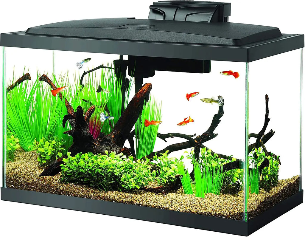 10 Gallon Aquarium Starter Kit with LED Lighting, Complete Fish Tank Setup for Beginners