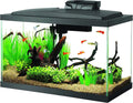 10 Gallon Aquarium Starter Kit with LED Lighting, Complete Fish Tank Setup for Beginners