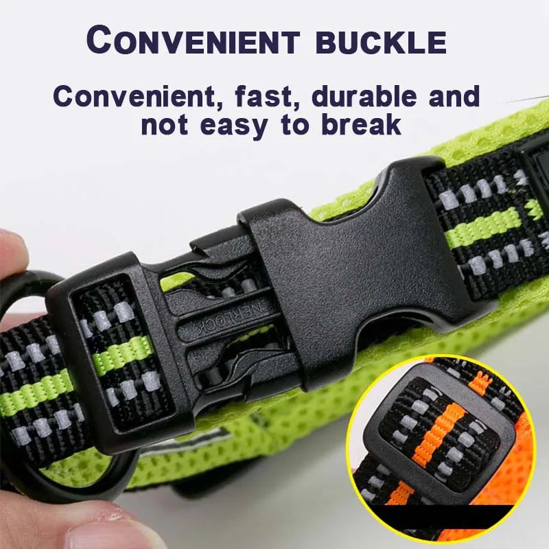 Dog Walking Collar Comfort Padded with Buckle Nylon Traveling Collar