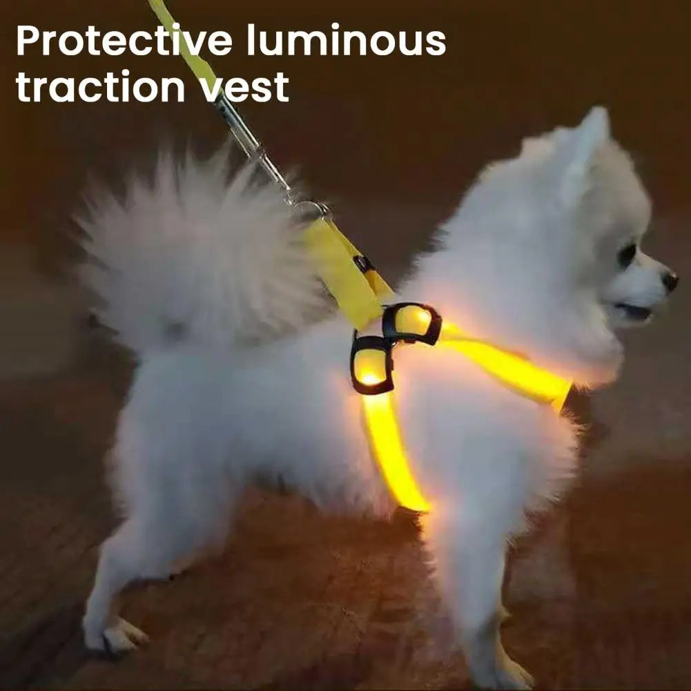 Adjustable LED Pet Harness, USB Rechargeable Light Up Dog Harness, Glow-in-The-Dark Safety Vest