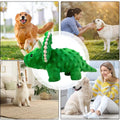 Dog Squeaky Toys Dogs Chew Toy Cute Dinosaur Plush Toy
