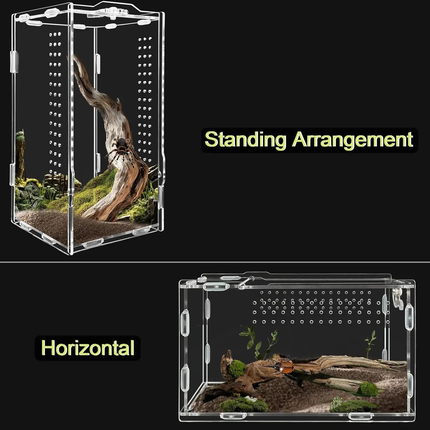 Acrylic Transparent Reptile Terrarium Habitat Reptiles Cage Nano Arboreal Tarantula Enclosure Bearded Dragon