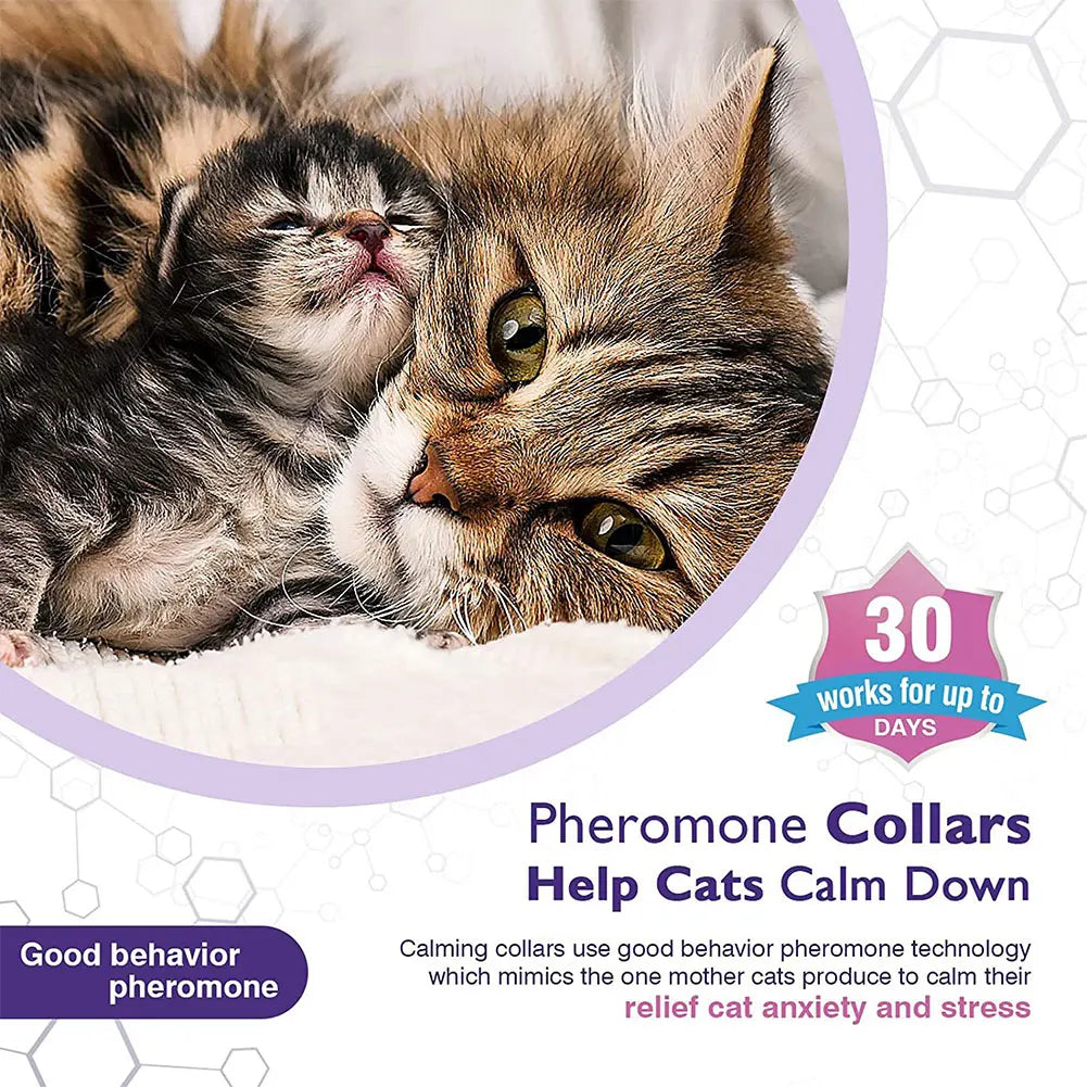 3/4 Pack Pet Calming Collar Stress and Anxiety Relief Pheromone Collar Adjustable Appeasing Calming Collar for Cats Dogs