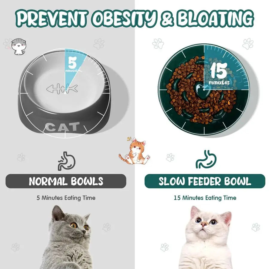 2 Pcs Raised Cat Slow Feeder Bowl Ceramic No Spill High Edge for Dry Wet Food and Water Easy to Clean