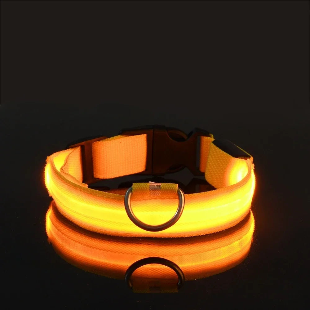 Dog Collar Nylon LED Night Safety Flashing Glow In The Dark Pet Dog Leash