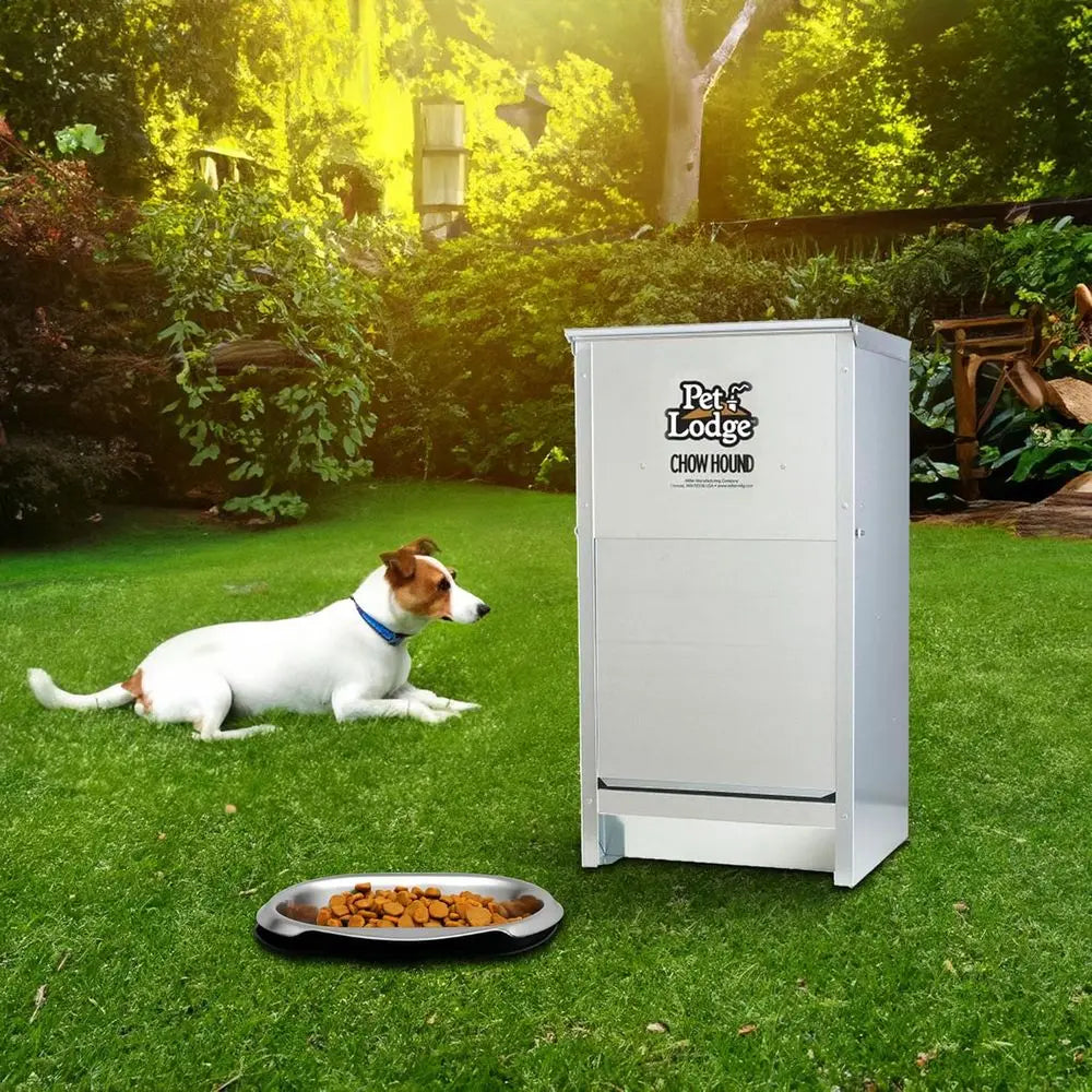25 Pound Capacity Heavy Gauge Steel Indoor and Outdoor Dry Food Automatic Dog Feeder