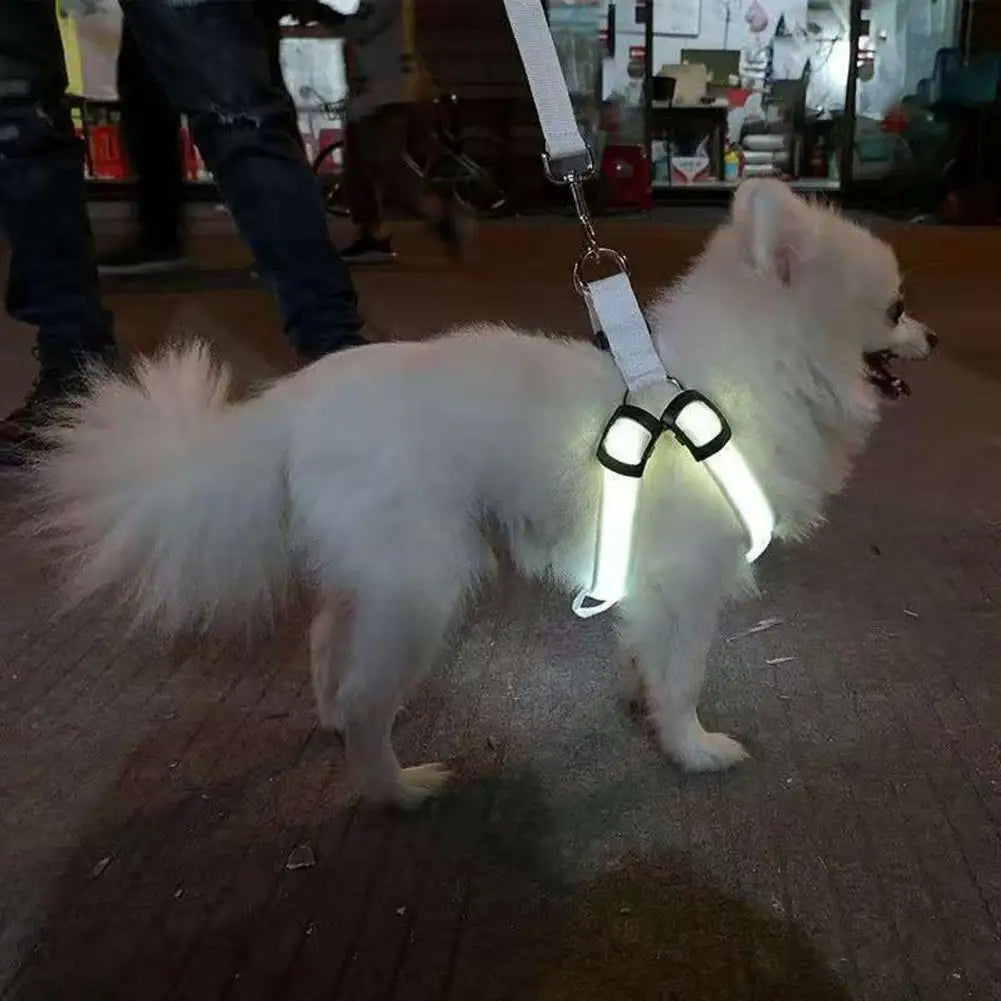 Adjustable LED Pet Harness, USB Rechargeable Light Up Dog Harness, Glow-in-The-Dark Safety Vest