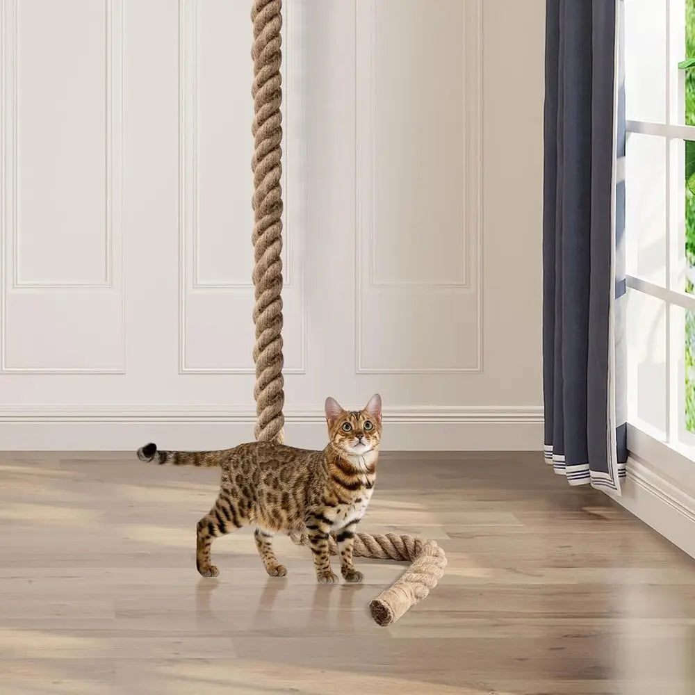 2 x 9.84ft Cat Climbing Rope with Hook or Ceiling & Wall Mount, Natural Sisal Rope