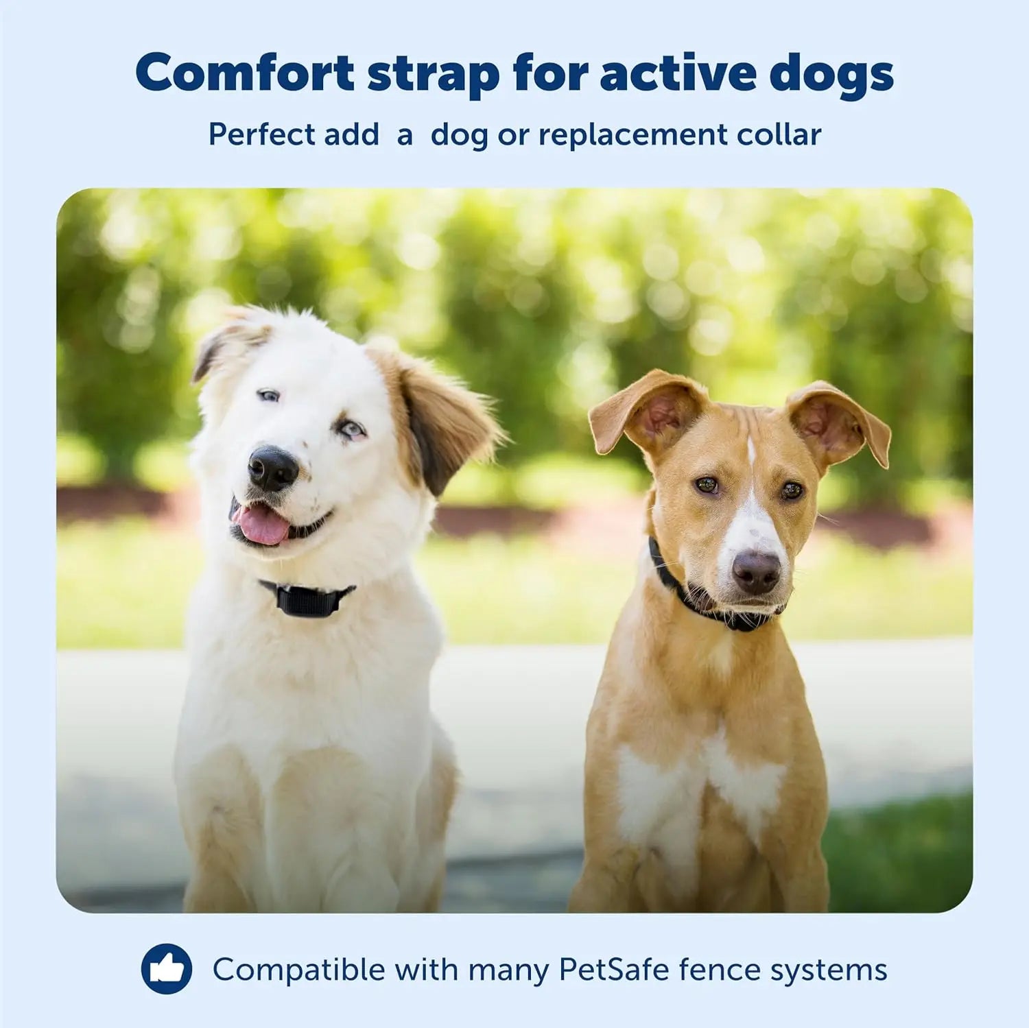 Waterproof Electric Dog Fence Collar, Adjustable for Dogs 5 lb & Up