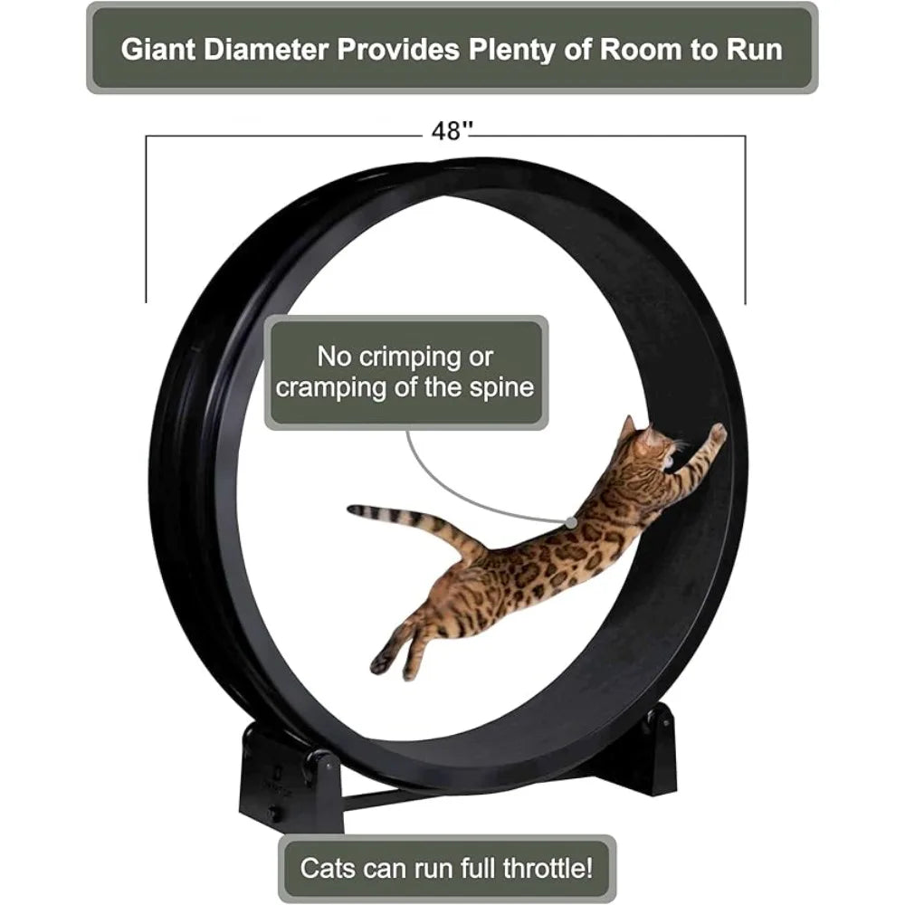 7 One Fast Cat Exercise Wheel - US Made - Black with Felt Pads & Inline Wheels
