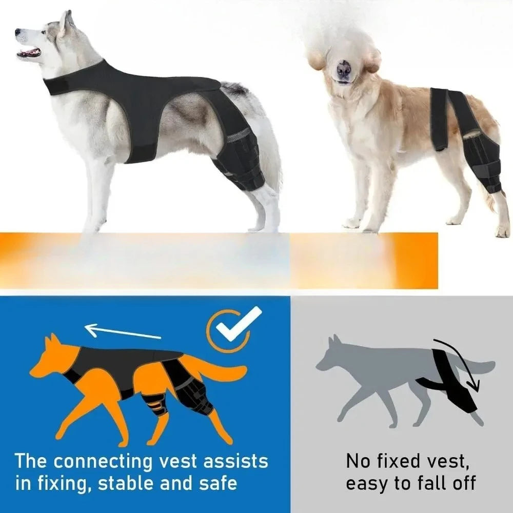Adjustable Dog Knee Brace Durable Joint Support Leg Support Bracket Reflective Design Breathable Pet Knee Wound Protection