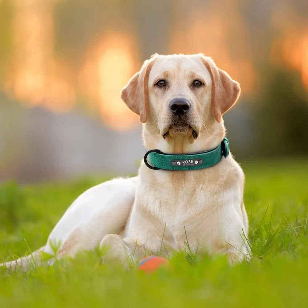 Personalized Name ID Tags, Text name Leather Dog Collar For Small Medium Large Dogs
