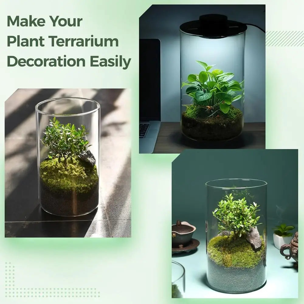 Desktop Glass Terrarium with Grow Light - Succulent Moss Miniature Gardening Landscape