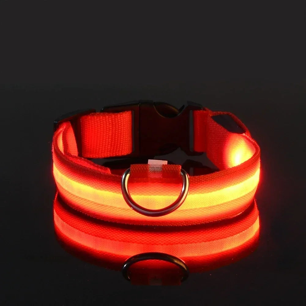 Dog Collar Nylon LED Night   Safety Flashing Glow-In-The-Dark Pet Dog Leash
