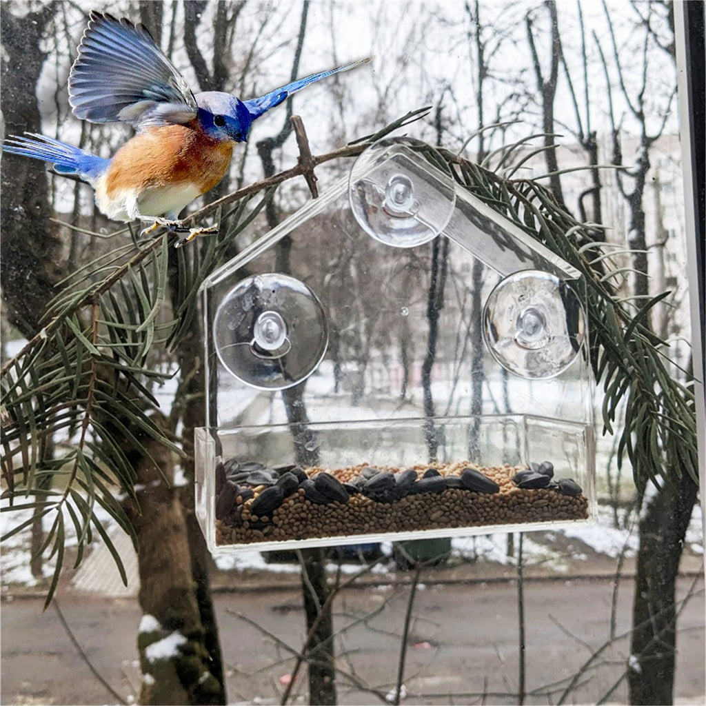 NEW Window Type Bird Feeder, Reusable Tray, Waterproof Transparent