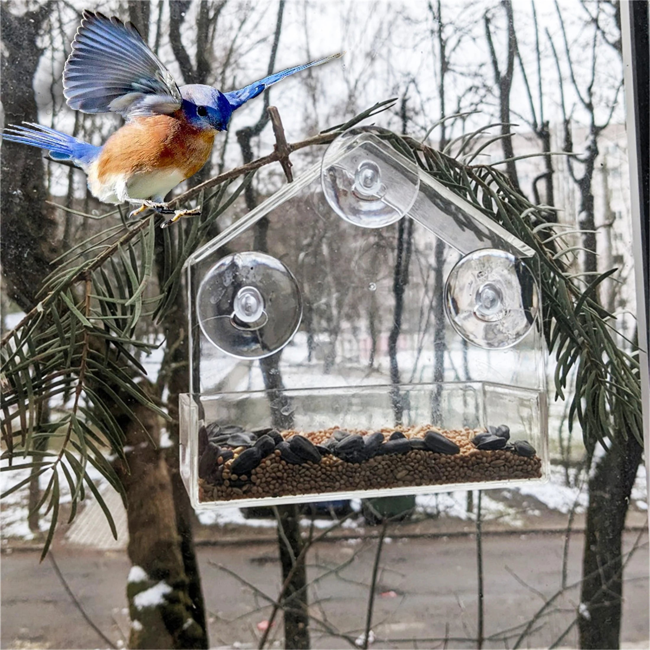 NEW Window Type Bird Feeder, Reusable Tray, Waterproof Transparent