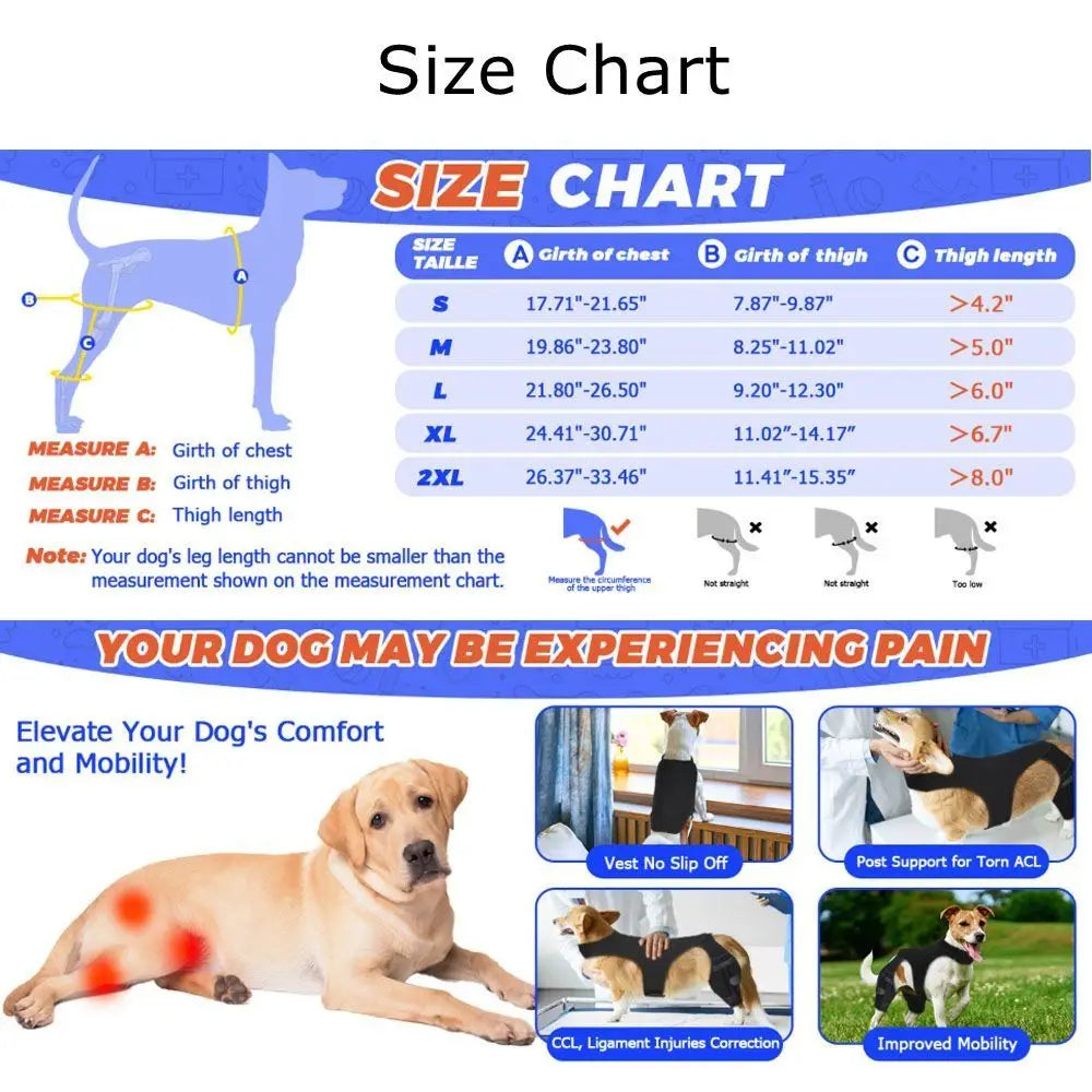 Adjustable Dog Knee Brace Durable Joint Support Leg Support Bracket Reflective Design Breathable Pet Knee Wound Protection